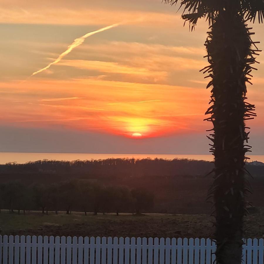 Haus Sunshine Villa Novigrad Istria Dış mekan fotoğraf
