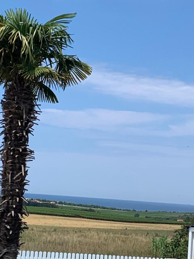 Haus Sunshine Villa Novigrad Istria Dış mekan fotoğraf